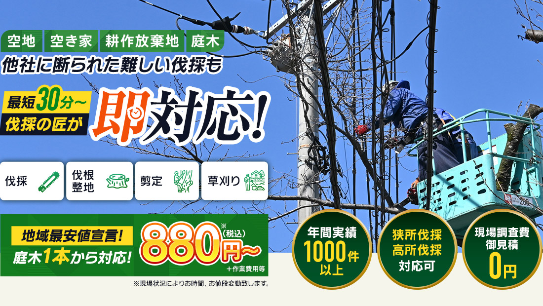 空き地 空き家 耕作放棄地 庭木 他社に断られた難しい伐採も伐採の匠が即対応！