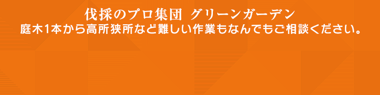 伐採のPro集団グリーンガーデン 庭木1本から高所狭所など難しい作業も何でもご相談ください。